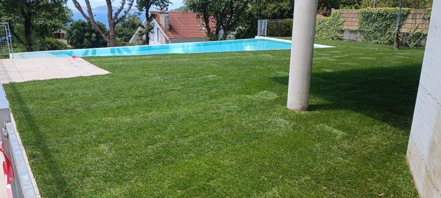 Talo xardinería mantenimiento e instalación de césped en Vigo