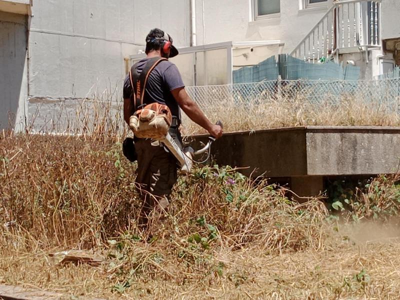 Talo Xardinería desbroce y limpieza de fincas en Vigo