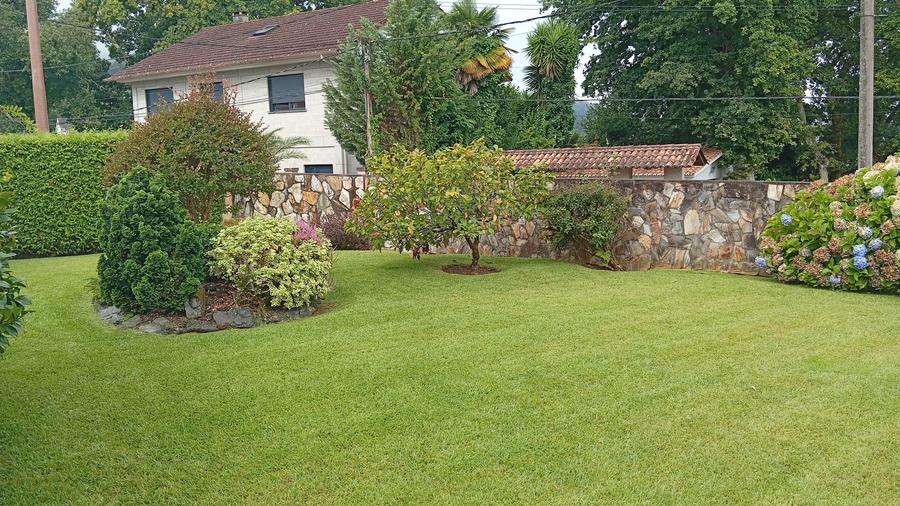 Talo Xardinería diseño y paisajismo de jardines en Vigo